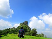 Viraj Saste