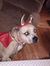 amy l. ...