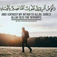 Mohamed Abotalb