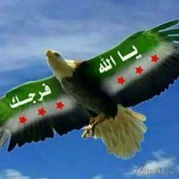 الوردة البيضاء