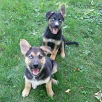 Catherine Bermingham