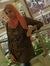 Asmaa K...