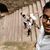 Viswanath Thayyil