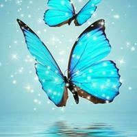 فاطمة العبد الرحمن