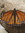 Planted Word (planted_word_magazine) | 2 comments