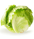 Cabbages!!