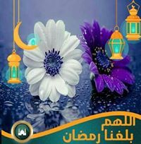 Rabab Mansour