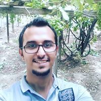 وليد البتيري