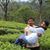 Pratheek Gowda