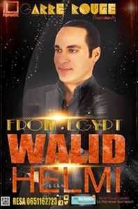 Walid Helmi