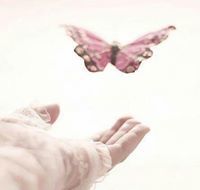 فراشه الأمل