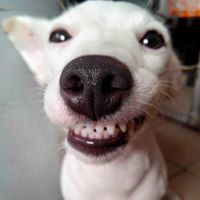 เณร ไอซ์