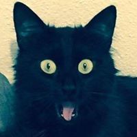 Екатерина Мария