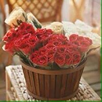 اريج الاريج