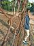 Arjun T...