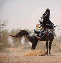 كريمة ريم أحمد