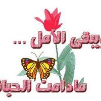 امل العامودى