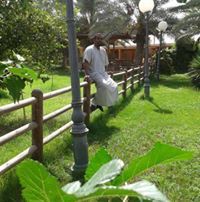 المهدى الباسطى