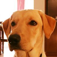 Aditya Hartalkar