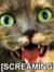 Necrokitty99