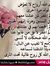 هبة الغ...