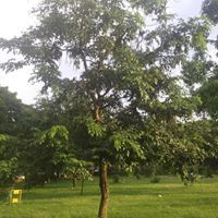 Pradeesh N Gopalakrishnan