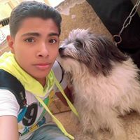 Ahmed Esmail