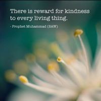 ئەزهار إسماعيل