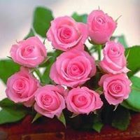 زهرة اللوتس