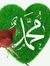 Dar Javed