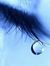 P Santhosh