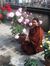 Swati M...