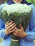 Sabreen...