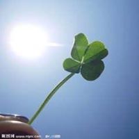 若玉 董