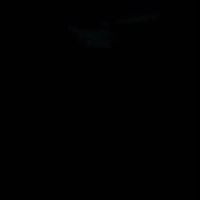 นอน. ร้อยสอง