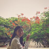 Anh Dương Nguyễn