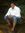 Vijay A...