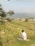 Ahmed S...