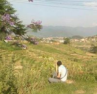 Ahmed Stohy