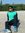 Sumit M...