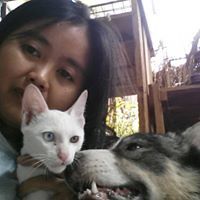 Capper Kongthong