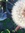 Robin Goodfellow | 6 comments