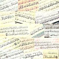 ابراهيم ابوحاتم