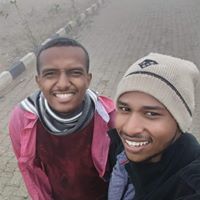 محمد المكاشفي