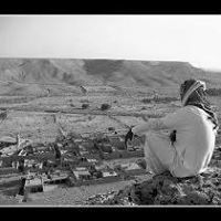 محمد الحربي