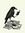 Quietcrow