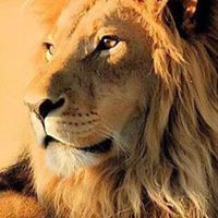 نصير السعبري