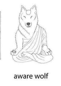 Christopher Williams