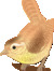 Thelma