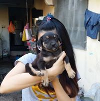 Wong Dorcas